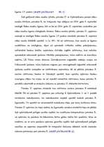 Referāts 'Rokas nauda', 23.