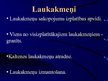 Prezentācija 'Latvijas derīgie izrakteņi', 5.