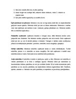 Konspekts 'Bārmeņa amata apraksts', 3.