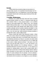 Referāts 'Paisuma enerģija', 2.