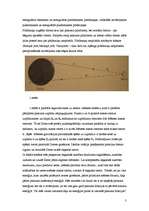 Referāts 'Paisuma enerģija', 3.