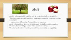 Prezentācija 'Āboli', 2.