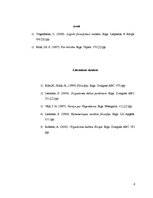 Referāts 'Mills, Paskāls, Vitgenšteins', 8.