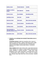 Konspekts 'Latvijas Republikas Ministru kabinets', 3.