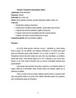 Prakses atskaite 'Kvalifikācijas prakse pirmsskolā', 4.