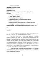 Prakses atskaite 'Kvalifikācijas prakse pirmsskolā', 5.