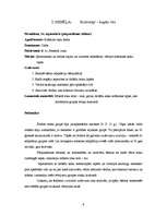 Prakses atskaite 'Kvalifikācijas prakse pirmsskolā', 9.