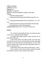 Prakses atskaite 'Kvalifikācijas prakse pirmsskolā', 10.