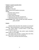 Prakses atskaite 'Kvalifikācijas prakse pirmsskolā', 13.