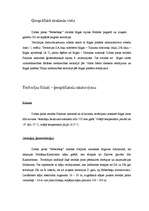 Referāts 'Beberu parks', 2.