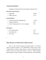 Paraugs 'Kursa projekts “Arhitektūrā I“ Daudzfunkcionāls Tirdzniecības centrs', 3.