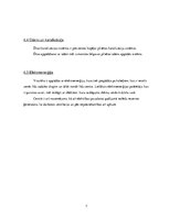 Paraugs 'Kursa projekts “Arhitektūrā I“ Daudzfunkcionāls Tirdzniecības centrs', 7.