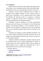 Referāts 'Iepakojuma apsaimniekošana', 2.