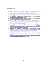 Referāts 'Ķīnas ekonomiskā politika ekonomiskās krīzes periodā', 19.