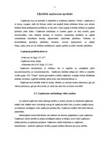 Prakses atskaite 'Prakses atskaite mārketingā', 4.