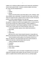 Prakses atskaite 'Prakses atskaite mārketingā', 5.