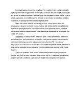 Prakses atskaite 'Prakses atskaite mārketingā', 7.