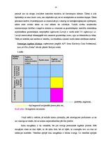 Prakses atskaite 'Prakses atskaite mārketingā', 19.