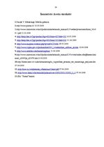 Prakses atskaite 'Prakses atskaite mārketingā', 29.