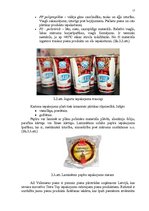 Referāts 'Pārtikas preču iepakojuma nozīme loģistikas procesu organizēšanā', 17.
