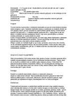 Konspekts 'Vaskulīts', 21.