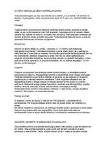 Konspekts 'Vaskulīts', 26.