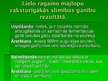 Prezentācija 'Ganīšanās procesa izraisītās dzīvnieku slimības, to novēršanas paņēmieni', 8.