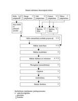 Konspekts 'Maizes ražošanas tehnoloģiskā shēma', 1.