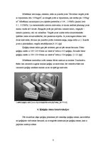 Referāts 'Ķieģeļu sienas', 6.