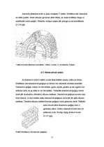 Referāts 'Ķieģeļu sienas', 11.