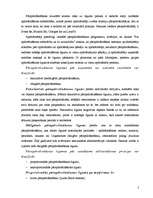 Referāts 'Pārapdrošināšanas būtība, veidi un mērķis', 2.