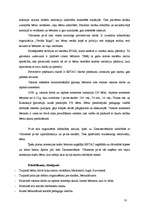 Prakses atskaite 'Ģimenes, kur māmiņas vienas audzina bērnus, kopienas sociālās problēmas un vajad', 10.