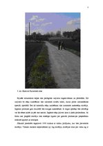 Referāts 'Austersēņu audzēšana', 5.