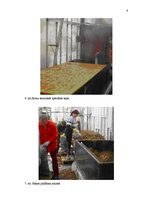 Referāts 'Austersēņu audzēšana', 8.