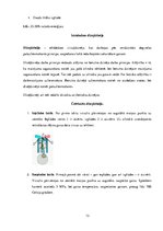 Konspekts 'Termiskie dzinēji', 13.