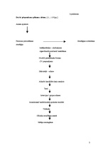 Referāts 'Personāla atlase tūrisma un viesmīlības nozares uzņēmumos', 39.