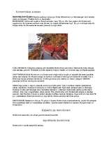 Referāts 'Zviedrija', 7.