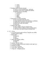 Konspekts 'Pirmais pasaules karš', 3.