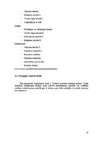 Referāts 'Mācību programmas Socrates/Erasmus tūrisma studiju raksturojums', 30.