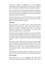 Konspekts 'Etruski: vēsture, kultūra, mitoloģija, sabiedrība un kultūras mantojums', 9.