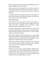 Konspekts 'Etruski: vēsture, kultūra, mitoloģija, sabiedrība un kultūras mantojums', 20.
