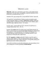 Referāts 'SIA "LMT" mārketinga vides un statēģijas analīze un darbības plānošana', 6.