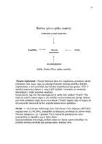 Referāts 'SIA "LMT" mārketinga vides un statēģijas analīze un darbības plānošana', 12.