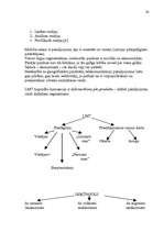 Referāts 'SIA "LMT" mārketinga vides un statēģijas analīze un darbības plānošana', 24.