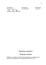 Referāts 'SIA "LMT" mārketinga vides un statēģijas analīze un darbības plānošana', 25.