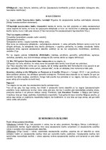 Konspekts 'Starptautisko publisko tiesību konspekts', 12.