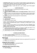 Konspekts 'Starptautisko publisko tiesību konspekts', 40.