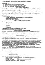 Konspekts 'Dzimumorgānu sistēma (systema genitale)', 2.