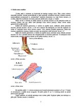 Konspekts 'Slodzes sadalījums pēdā atkarībā no apavu papēža augstuma', 3.