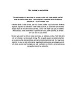 Konspekts 'Prātnieka tēla analīze', 11.